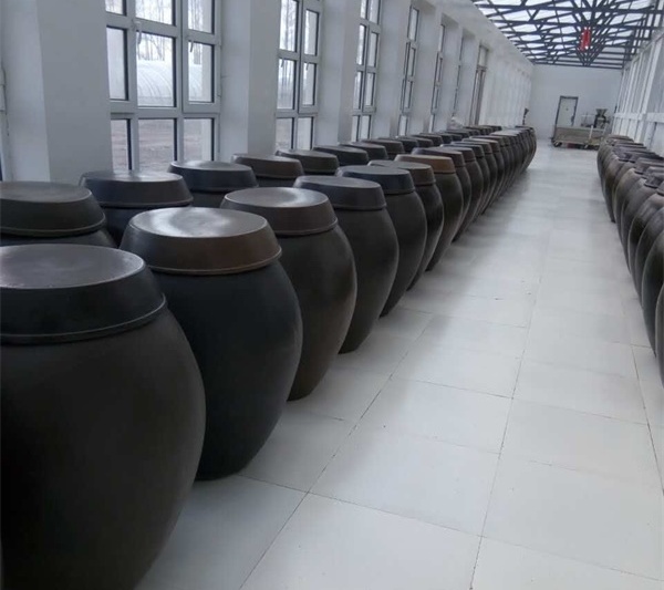 環境展示